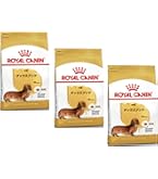 ロイヤルカナン ダックスフンド 中・高齢犬用 3kg ✖️ 2袋です。　6kg ロイヤルカナン ダックスフンド 中・高齢犬用 3kg (生後8歳以上) Pets